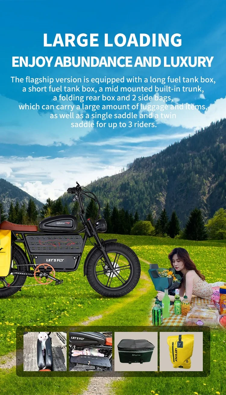 HAHOO H20 20 inches adult electric mountain bike 1000W brushless motor 48V 60Ah ebike dual suspension off road tyre bicycle