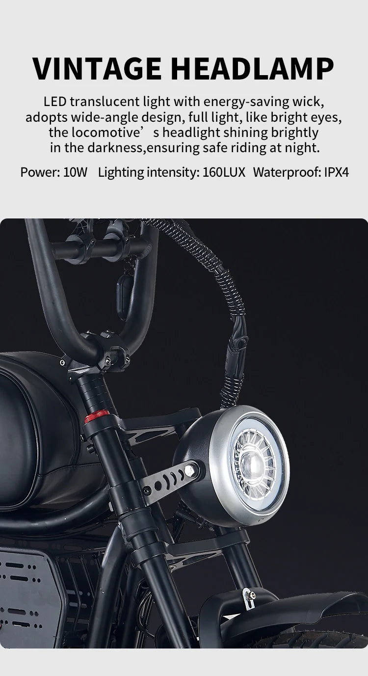 HAHOO H20 20 inches adult electric mountain bike 1000W brushless motor 48V 60Ah ebike dual suspension off road tyre bicycle