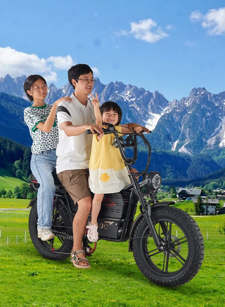 HAHOO H20 20 inches adult electric mountain bike 1000W brushless motor 48V 60Ah ebike dual suspension off road tyre bicycle