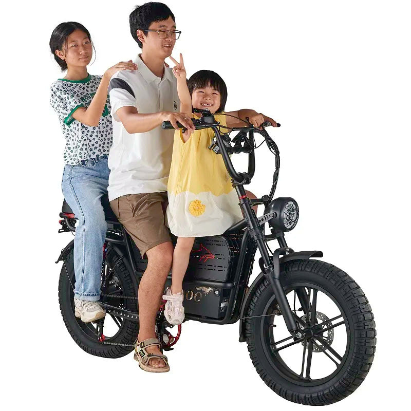 HAHOO H20 20 inches adult electric mountain bike 1000W brushless motor 48V 60Ah ebike dual suspension off road tyre bicycle