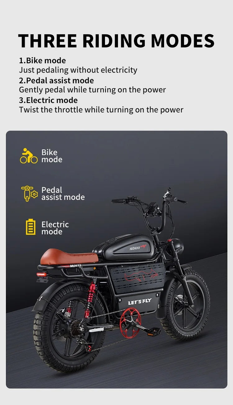 HAHOO H20 20 inches adult electric mountain bike 1000W brushless motor 48V 60Ah ebike dual suspension off road tyre bicycle