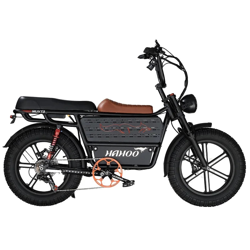 HAHOO H20 20 inches adult electric mountain bike 1000W brushless motor 48V 60Ah ebike dual suspension off road tyre bicycle
