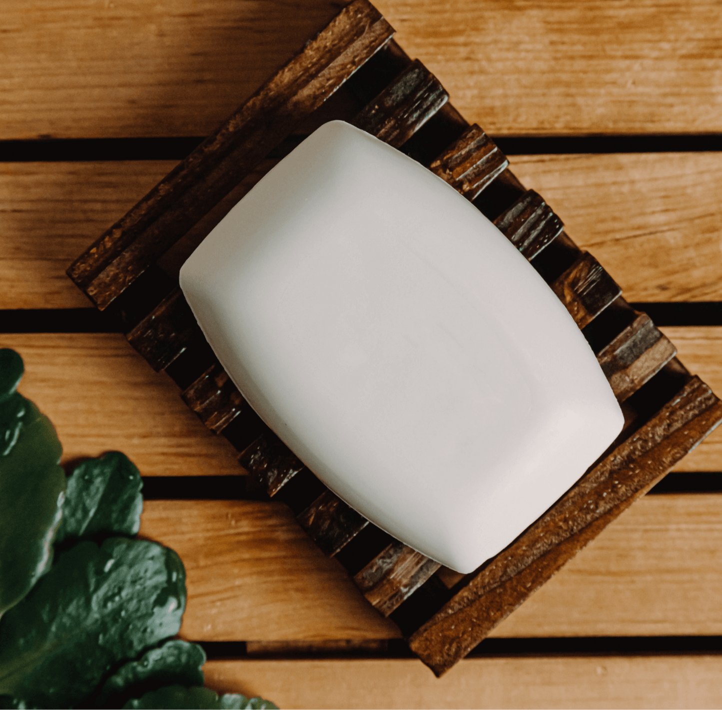 Sample Coconut Bar Soap - Natural Handmade Skin Care